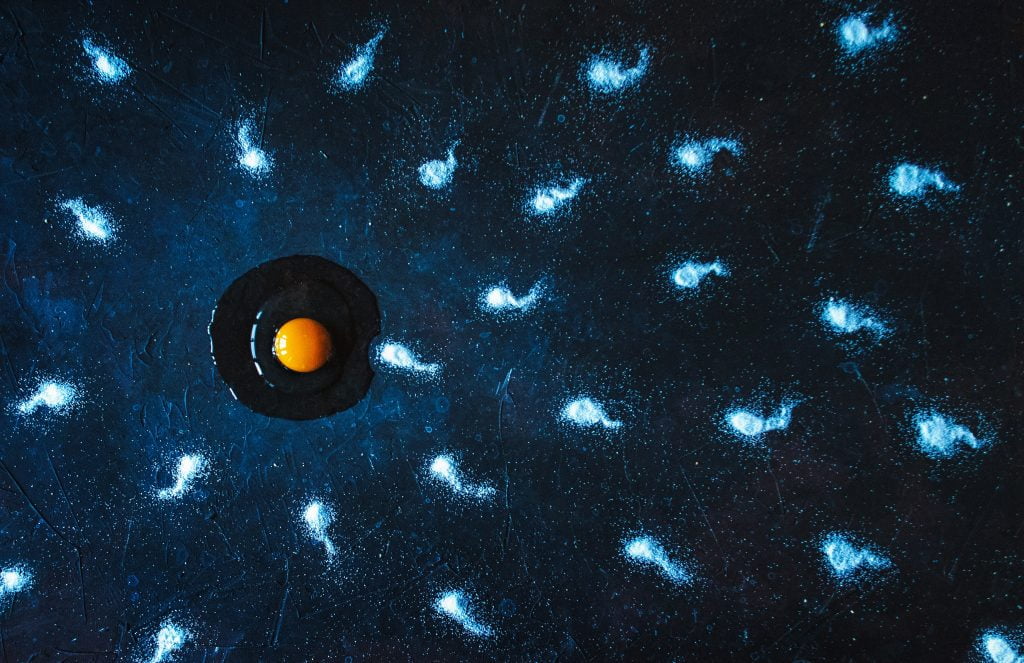 чоловічу фертильність мужскую фертильность male fertility