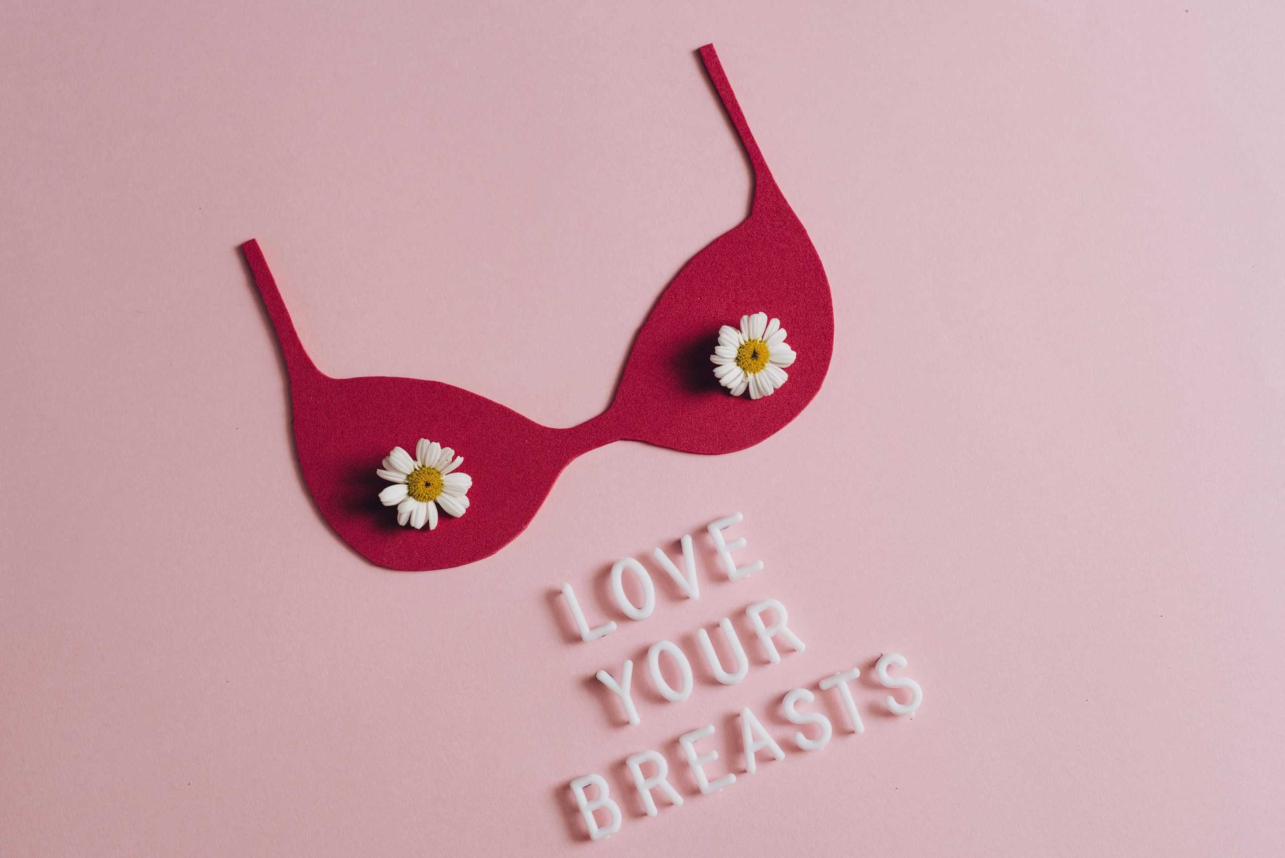 раку грудей рака грудей breast cancer detection